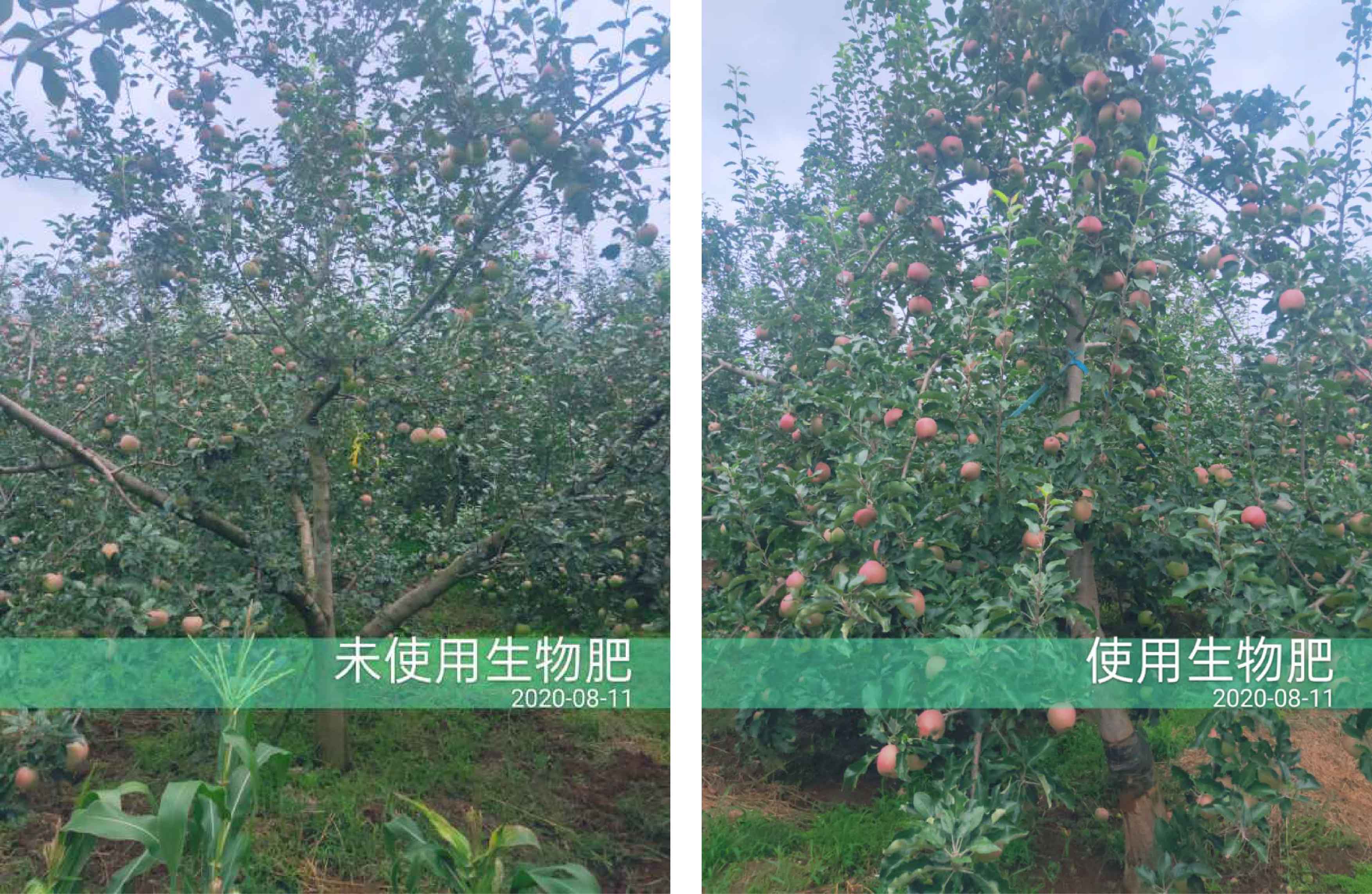 對(duì)比1-01.jpg