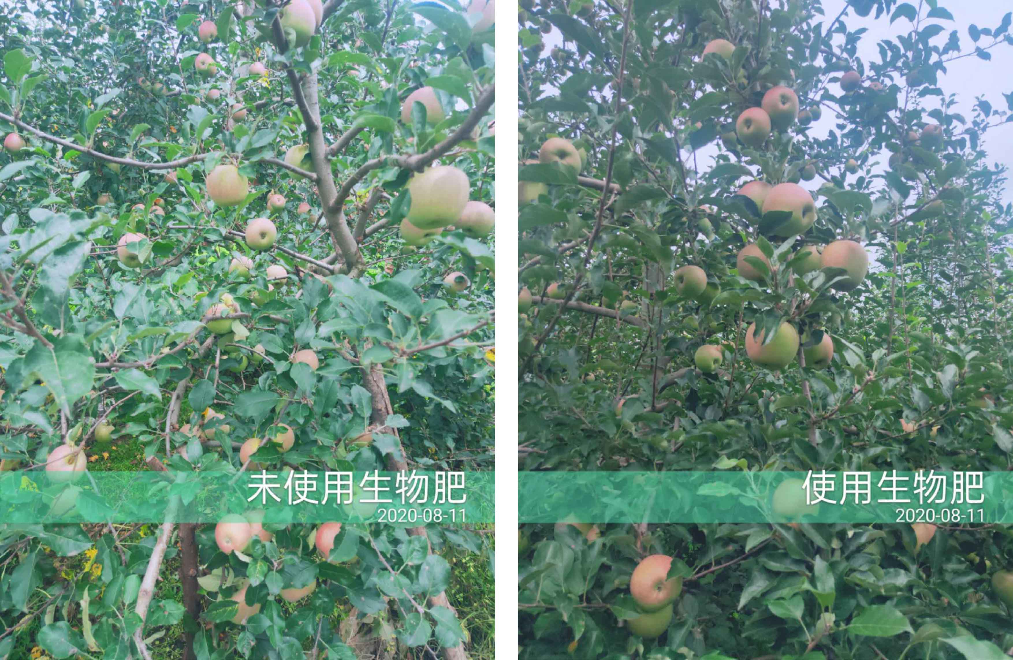 對(duì)比2-01.jpg