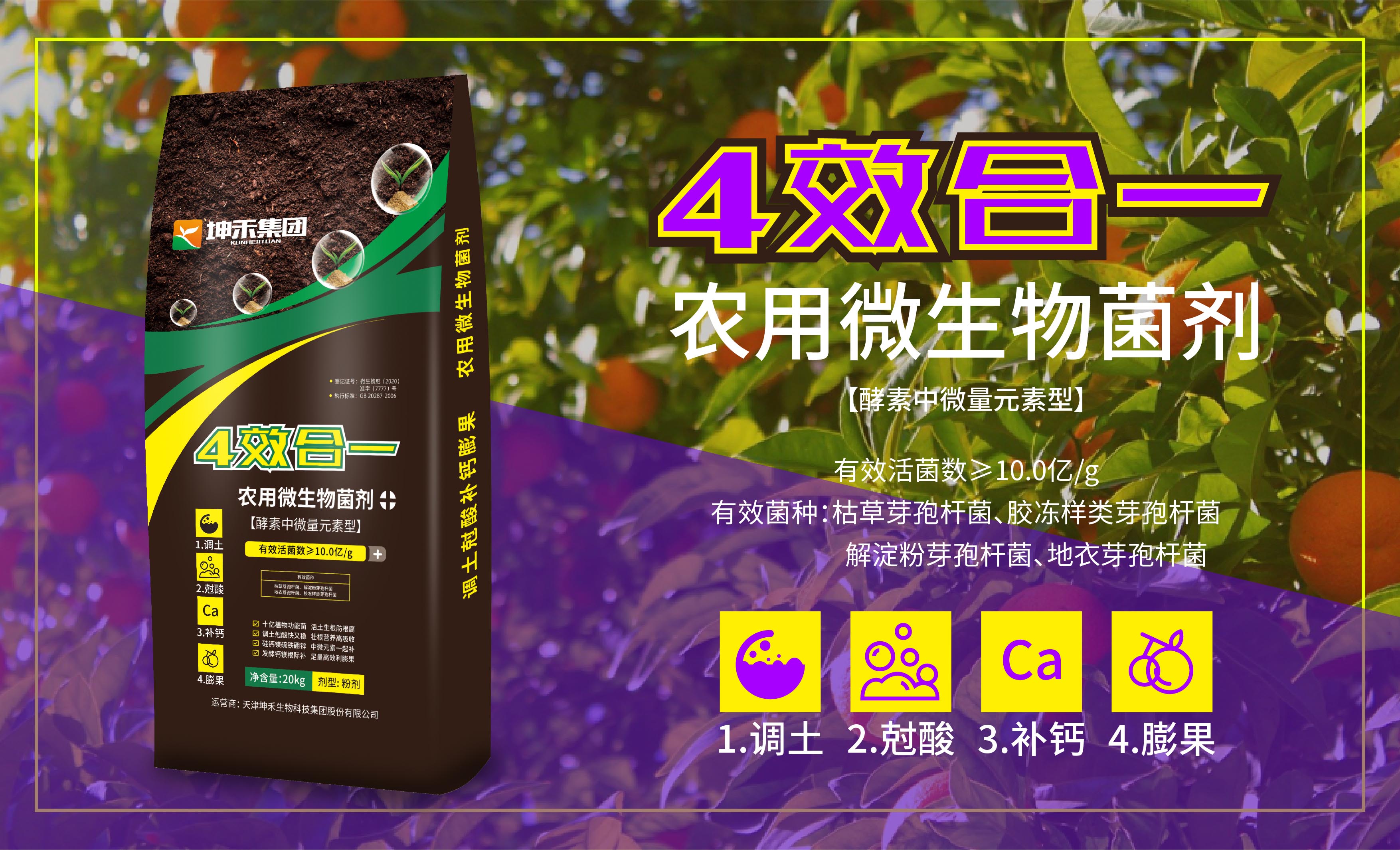 四效合一海報(bào)-壓縮.jpg